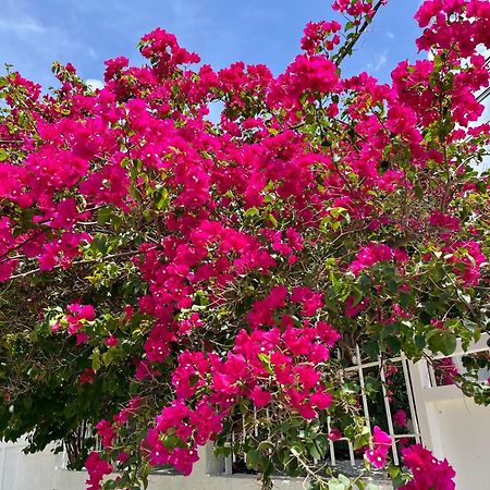 Les Villas Du Bambou - Villa Paprika Jusqu'A 6 Pers Le Gosier  Bagian luar foto