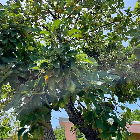 Les Villas Du Bambou - Villa Paprika Jusqu'A 6 Pers Le Gosier  Bagian luar foto