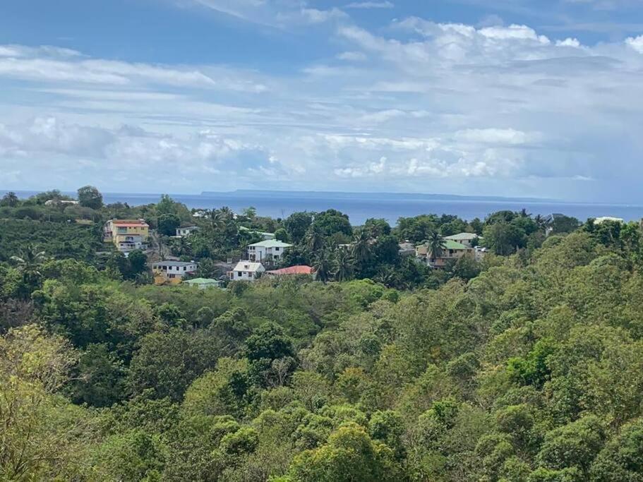 Les Villas Du Bambou - Villa Paprika Jusqu'A 6 Pers Le Gosier  Bagian luar foto